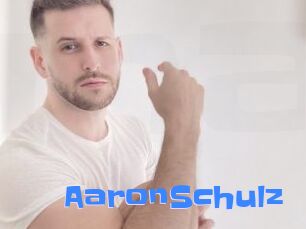 AaronSchulz