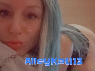 AlleyKat113