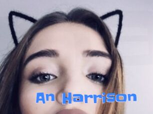 An_Harrison