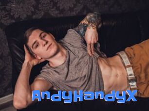 AndyHandyX