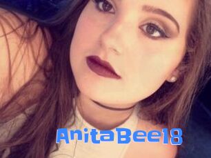 AnitaBee18