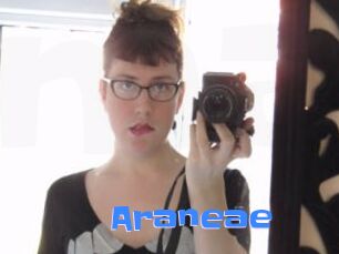 Araneae
