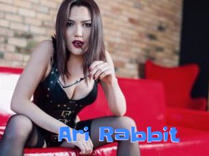 Ari_Rabbit