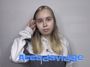 Accadavidge