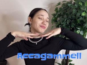 Accagammell