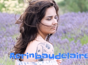 Aerinbaudelaire
