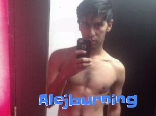 Alejburning