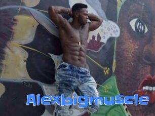 Alexbigmuscle