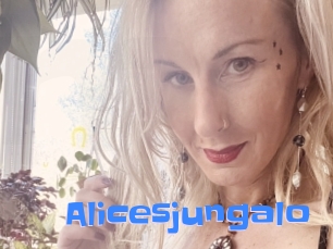 Alicesjungalo