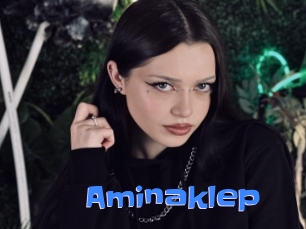 Aminaklep