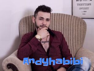 Andyhabibi