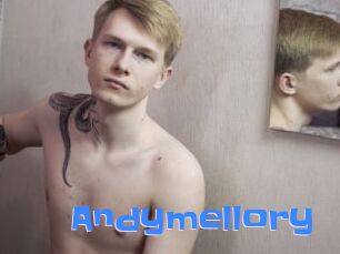 Andymellory
