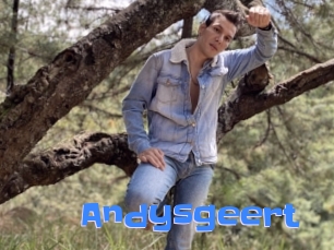 Andysgeert