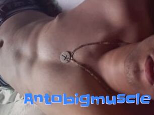 Antobigmuscle
