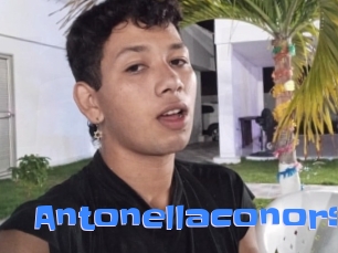 Antonellaconors