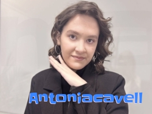 Antoniacavell