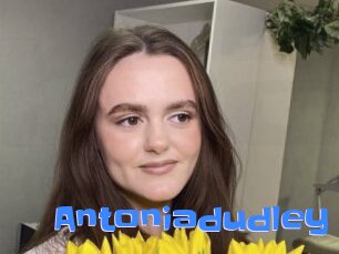 Antoniadudley