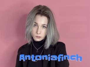 Antoniafinch