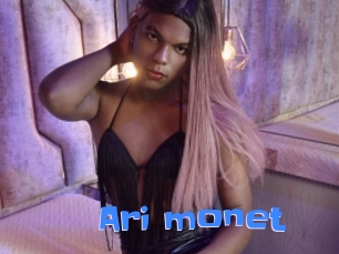 Ari_monet