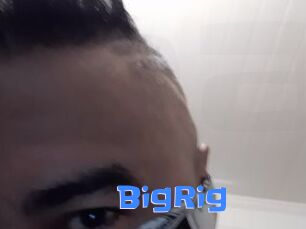 BigRig Mausi Privat