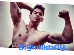 Bigmilkboy