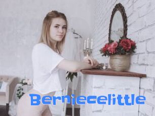 Berniecelittle