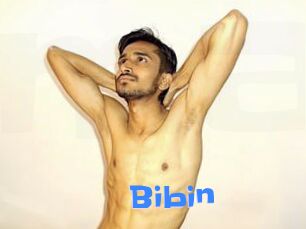 Bibin