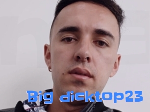 Big_dicktop23