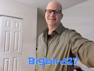 Bigbird27