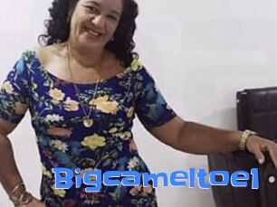 Bigcameltoe1