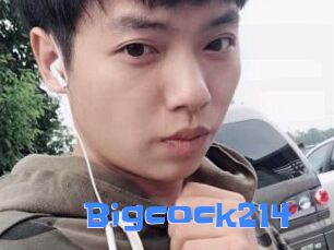Bigcock214