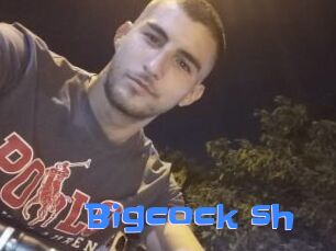 Bigcock_sh