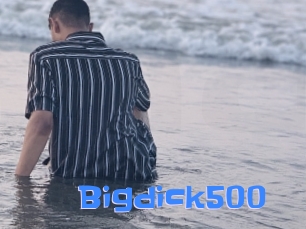 Bigdick500