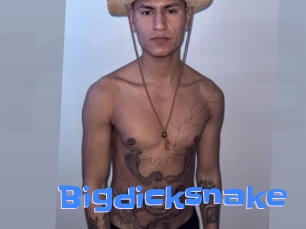 bigdicksnake Mausi Privat