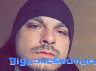 Bigkaneswonder