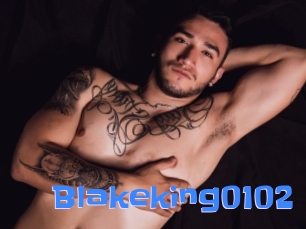 Blakeking0102