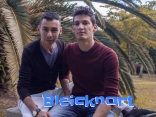 Bleicknort