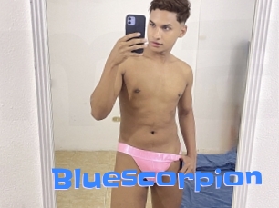 Bluescorpion