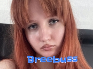 Breebuss