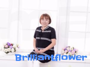 Brilliantflower