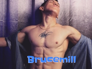 Brucemill