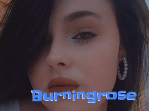 Burningrose