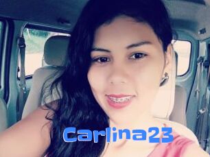 Carlina23