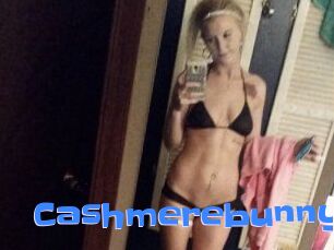 Cashmerebunny