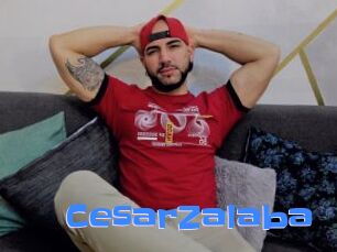CesarZalaba