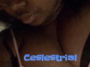 Ceslestrial