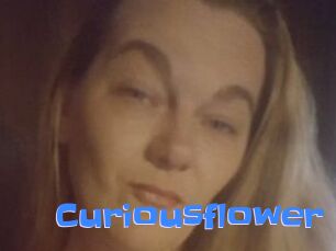 Curiousflower