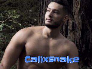 Calixsnake