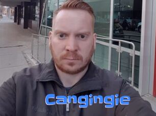 Cangingie