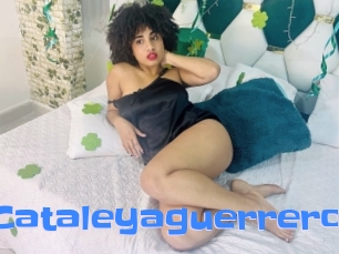 Cataleyaguerrero